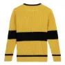 Cerda Group Harry Potter Genser Refurbished, Yellow, L
