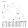 Cinelli King Zydeco Ii Rival Axs 12s Grussykkel, Gravel sykkel
