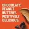 Clif Bar Chocolate Peanut Butter Bar