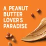 Clif Bar Peanut Butter Bar