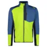 Limegreen