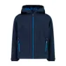 B.blue / bluestone