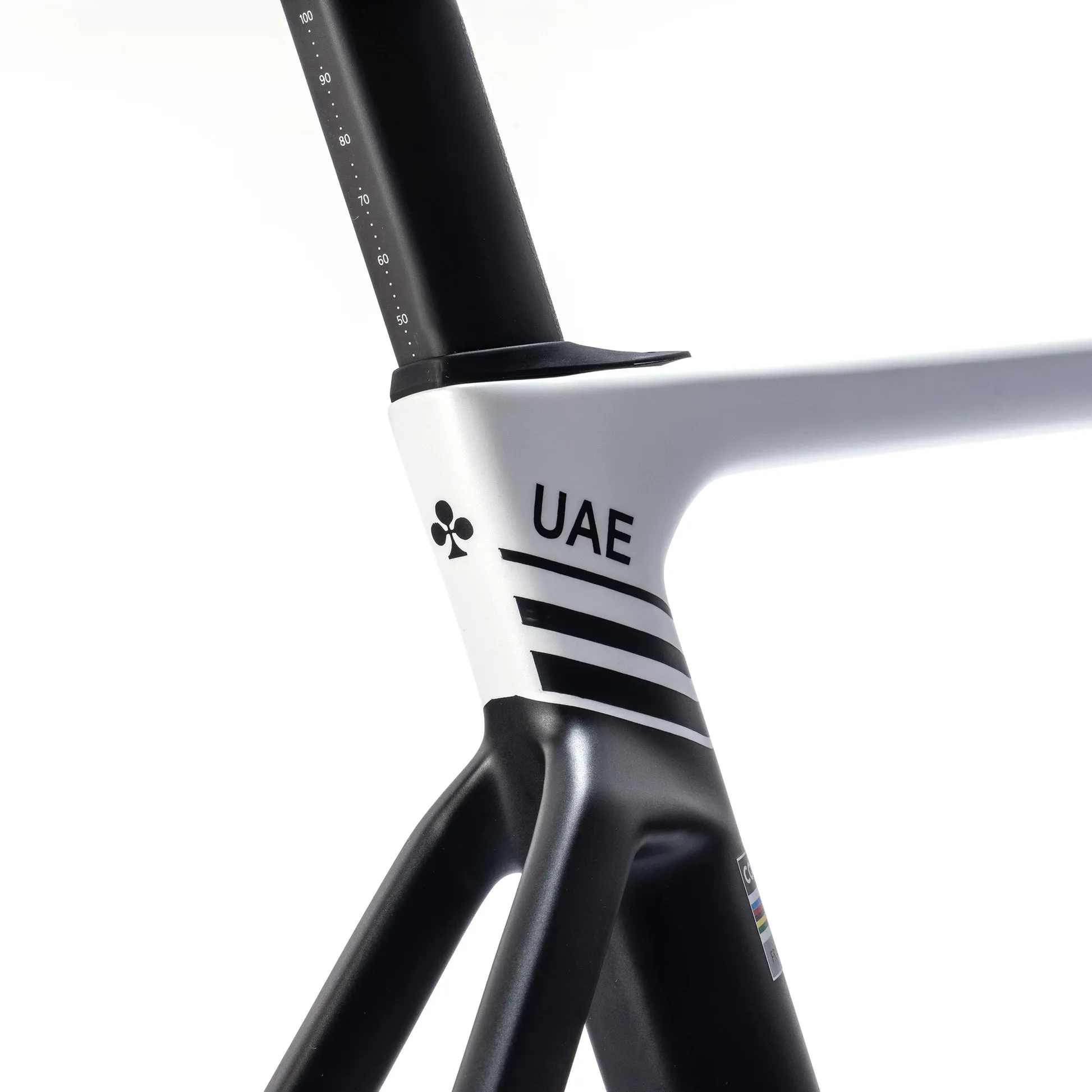 Colnago V5RS Road Frameset