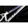 Coluer Ascent 295 29´´ Altus 2023 Terrengsykkel