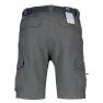 Columbia Silver Ridge Ii Cargo Shorts