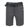 Columbia Silver Ridge Ii Shorts