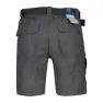 Columbia Silver Ridge Ii Shorts