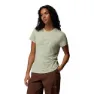 Columbia Sloan Ridge™ Graphic Kortarmet T-skjorte