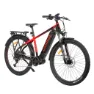 Control Eon EQ 23", Elsykkel