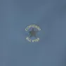 Converse Core Jakke