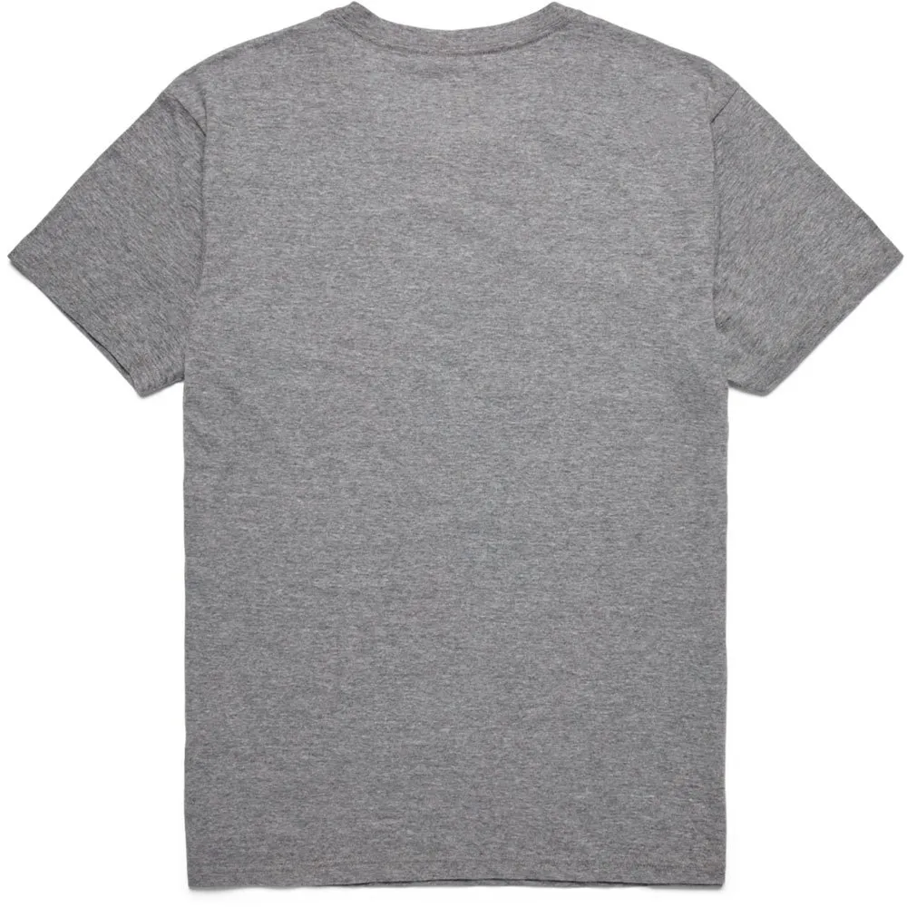 Cotopaxi Altitude Llama Kortarmet T-skjorte, Heather grey