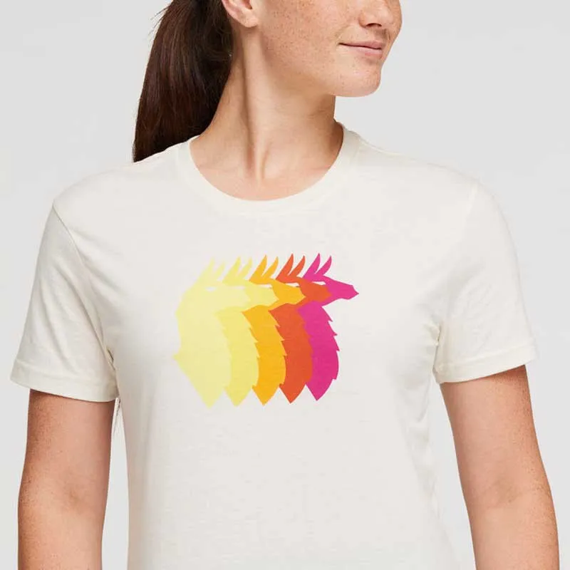 Cotopaxi Llama Sequence Organic Kortarmet T-skjorte
