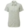 Sage print