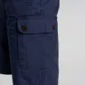 Craghoppers Thallon Shorts