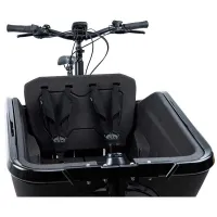 Cube Cargo Safety Belte