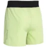 Daehlie Herre Shorts Air 5'
