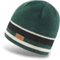 Dakine Lumberman Merino Lue