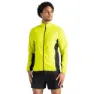 Neon spring / black