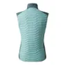Dare 2b Altimeter Ii Vest