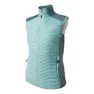 Dare 2b Altimeter Ii Vest