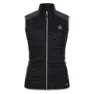 Dare 2b Altimeter Vest