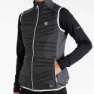 Dare 2b Altimeter Vest