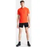 Dare 2b Cyclical Sykkelshorts Uten Seler