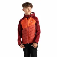 Dare 2b Explore Hybrid Softshelljakke