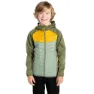 Olive green / hedge green