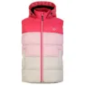 Dare 2b Jolly Vest