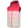Dare 2b Jolly Vest