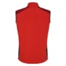 Dare 2b Lattitudinal Ii Vest