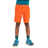 Dare 2b Reprise Ii Shorts Dare 2b Reprise Ii Shorts