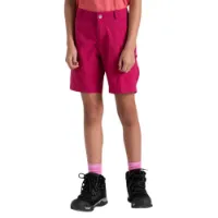 Dare 2b Reprise Ii Shorts Dare 2b Reprise Ii Shorts