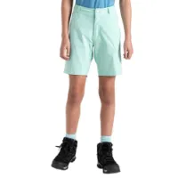 Dare 2b Reprise Ii Shorts Dare 2b Reprise Ii Shorts
