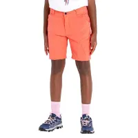 Dare 2b Reprise Ii Shorts Dare 2b Reprise Ii Shorts
