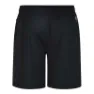 Dare 2b Sprinted Shorts, Black