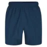 Dare 2b Surrect Shorts