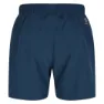 Dare 2b Surrect Shorts
