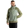 Olive green / hedge green