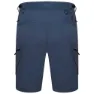 Dare 2b Tuned In Ii Shorts
