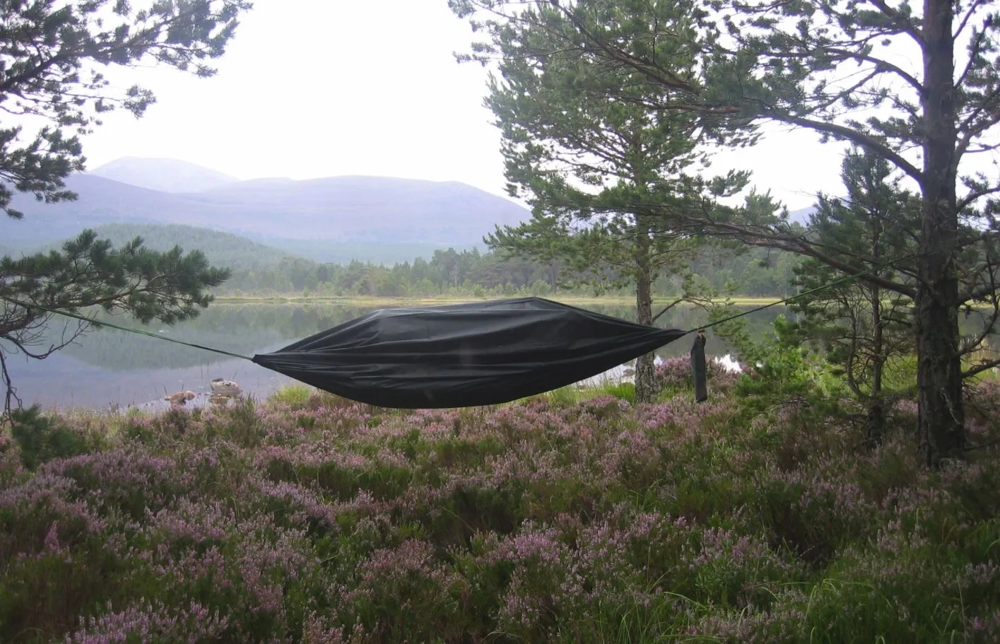 DD Hammocks Camping Hengekøye