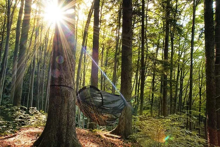 DD Hammocks Frontline XL Hengekøye