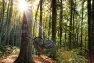 DD Hammocks Frontline XL Hengekøye