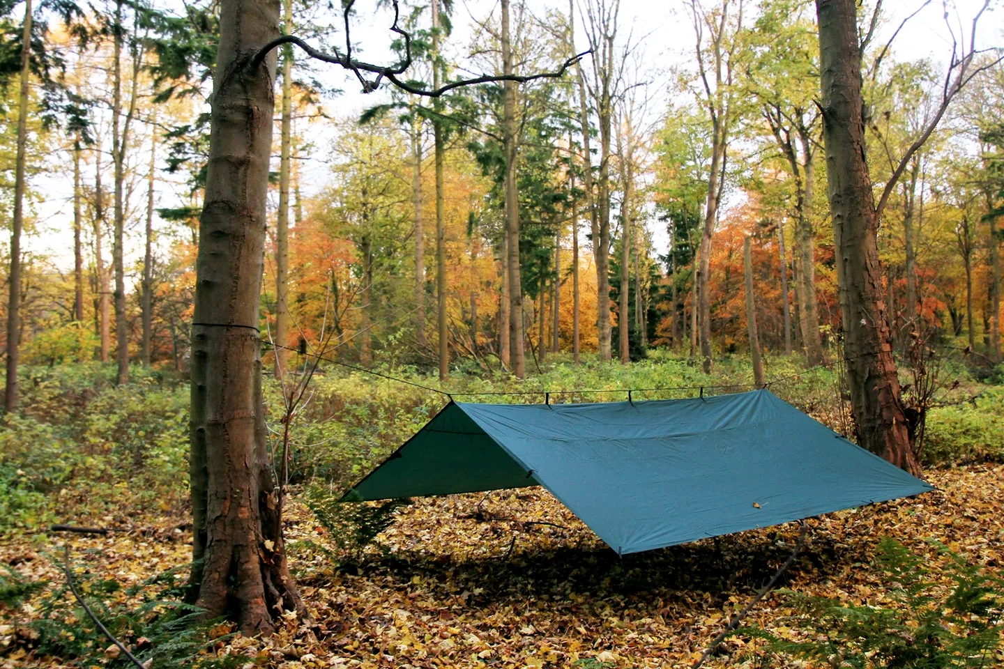 DD Hammocks Tarp