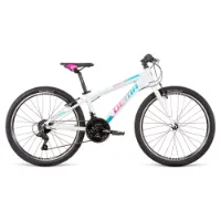 Dema Roxie 24´´ Mtb-ramme