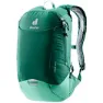 Seagreen / spearmint