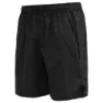 Devold Running Man Short Shorts