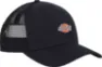 Dickies Hanston Trucker