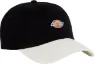 Dickies Hardwick 2 Tone